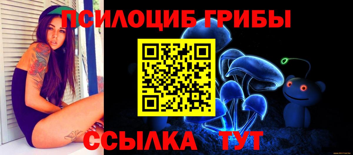 Нижний Новгород  Псилоцибиновые грибы Psilocybine cubensis  Псилоцибиновые грибы Cubensis  Вход с VPN 